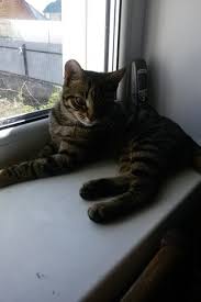 Image result for site:buyreklama.ru/*