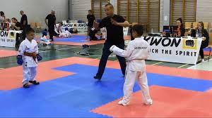 Image result for Great Britain Martial Arts Academy