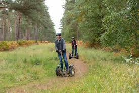 Image result for The Go Ape Experience (Swinley Forest)