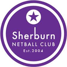 Image result for Guildford Netball Club