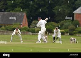 Image result for Frankton Cc