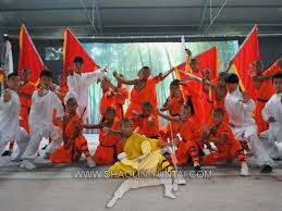 Image result for Shaolin Ancestors kung Fu School