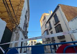 Image result for www.diariosur.es