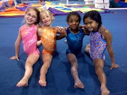 Image result for Phoenix Gymnastics
