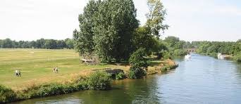 Image result for Thames Valley Angling