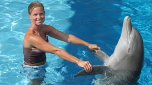 Image result for Gosport Dolphins Swimming Club