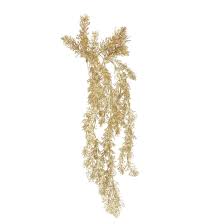 Attēlu rezultāti vaicājumam “Pteropsida”