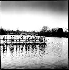 Image result for Serpentine Swimming Club