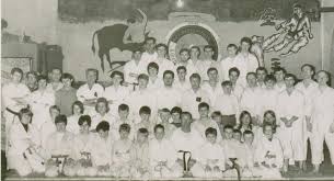 Image result for middlesbrough karate academy