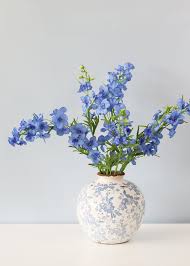 Image result for Delphinium