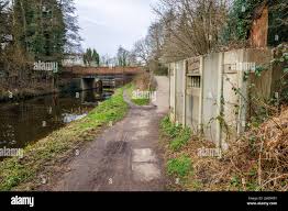 Image result for Basingstoke Bullets