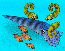 Attēlu rezultāti vaicājumam “Endoceras”