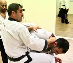 Image result for Moo Sool Academy