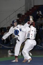 Image result for Kees Tae Kwon Do