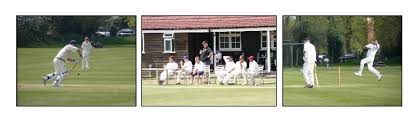 Image result for Elmswell Cricket Club