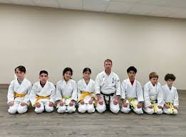Image result for Bushin Kenpo Kai Schools