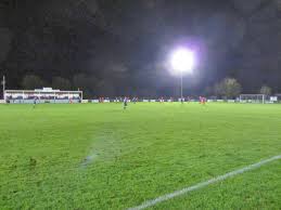 Image result for Hadleigh United Football Club