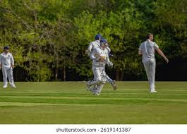 Image result for Fareham and Crofton Cricket Club