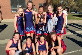 Image result for Sas Netball Club