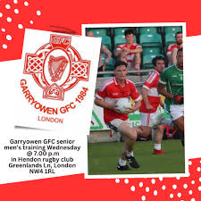 Image result for Garryowen Gfc