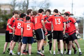Image result for hurling