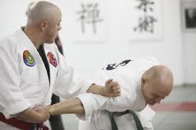 Image result for Komaru Ryu Small Circle Jujitsu/Karate