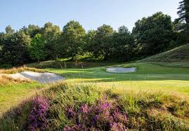 Image result for Hindhead Golf Club