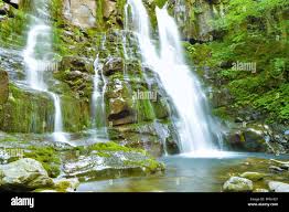 Image result for cascate del dardagna