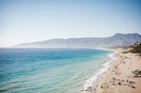 Image result for Scarborough Malibu Surf Club