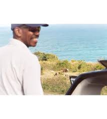 Image result for Newhaven Cricket Club