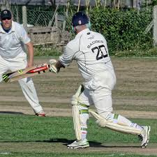 Image result for Chichester Priory Park Cc