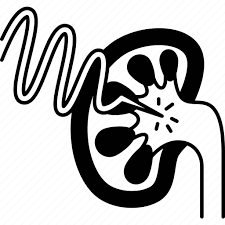 Image result for shockwave icon