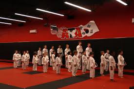 Image result for ATA Martial Arts Mobile