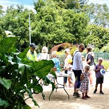 Image result for Amble Bowling Club