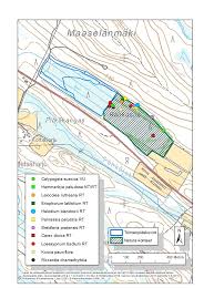 Attēlu rezultāti vaicājumam “Leiocolea rutheana”