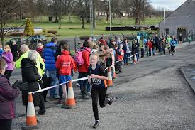 Image result for Wee County Harriers