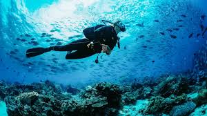 Image result for Underwater Adventures