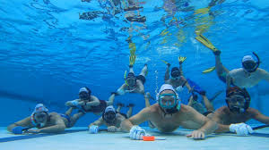 Image result for Nottingham Octopush Club