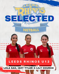 Image result for Hull Chevrons Netball Club