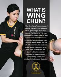 Image result for Kamon Wing Chun
