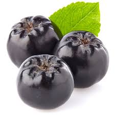 Attēlu rezultāti vaicājumam “Aronia melanocarpa fruit”