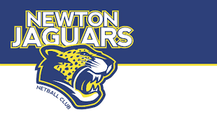 Image result for Newdigate Netball Club