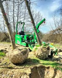 Image result for holmac tehron