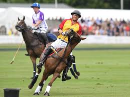 Image result for Cirencester Park Polo Club