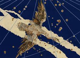 Attēlu rezultāti vaicājumam “Cygnus”