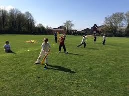 Image result for Thriplow Cricket Club