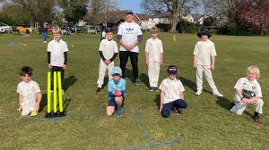 Image result for Farnham Cricket Club