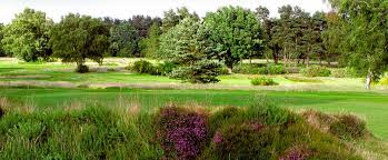 Image result for Walton Heath Golf Club
