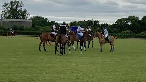 Image result for Taunton Vale Polo Club
