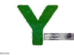 Image result for    [     @  Y